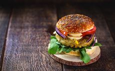 plant-burger-alternative-protein-vegetarian