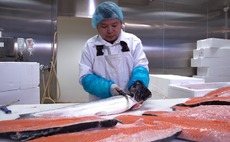 salmon-fish-fishmonger