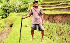 indonesia-farmer