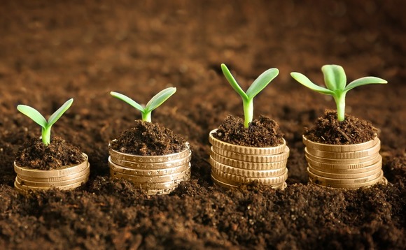 seed-funding-venture-money-plant-02