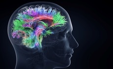 brain-neurotherapy