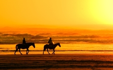 sunset-horses