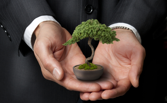 business-management-bonsai-tree-japan