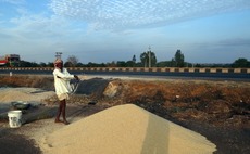 grains-india-storage-karnataka