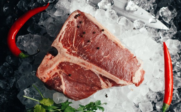 fresh-meat fresh-meat
