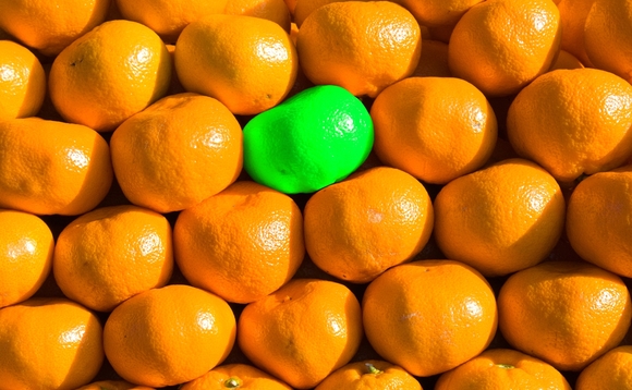 oddoranges oddoranges