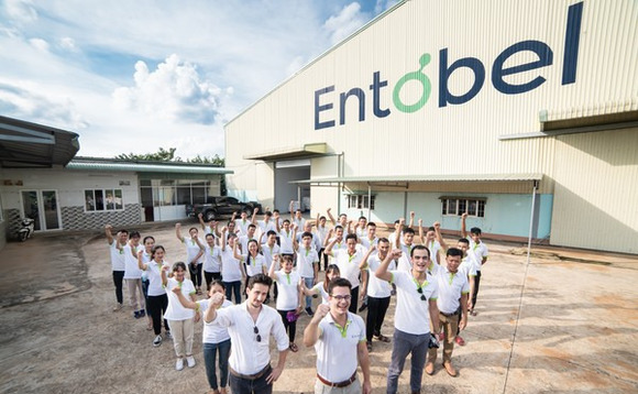 entobel entobel