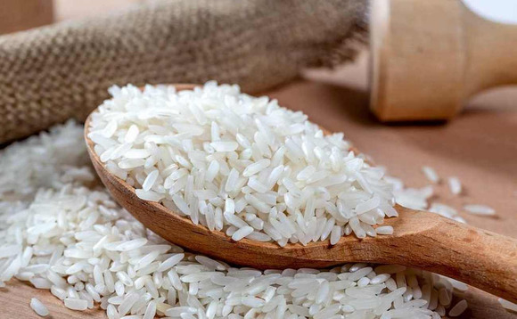 rice rice