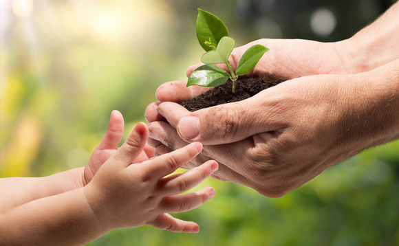succession-hands-plant-planning succession-hands-plant-planning
