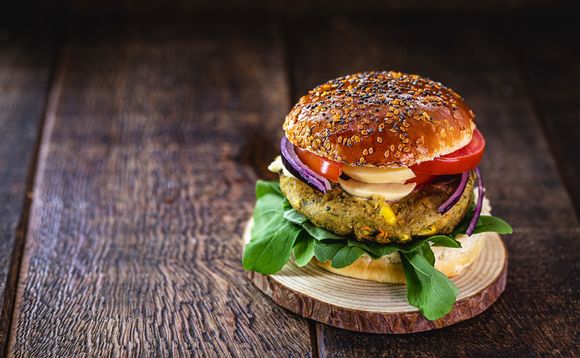 plant-burger-alternative-protein-vegetarian plant-burger-alternative-protein-vegetarian