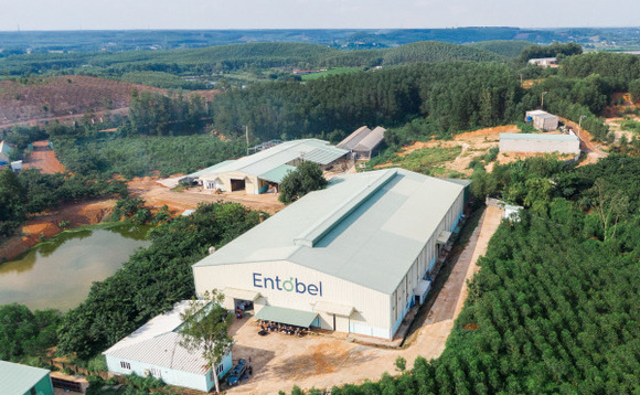 entobel-factory entobel-factory