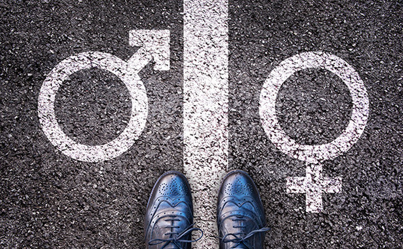 gender-road-divided gender-road-divided