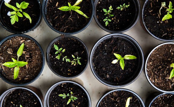 seed-funding-early seed-funding-early