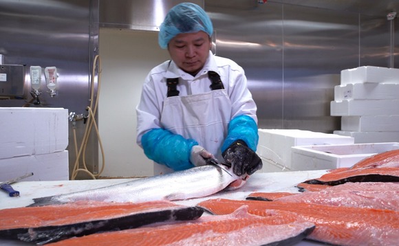salmon-fish-fishmonger salmon-fish-fishmonger