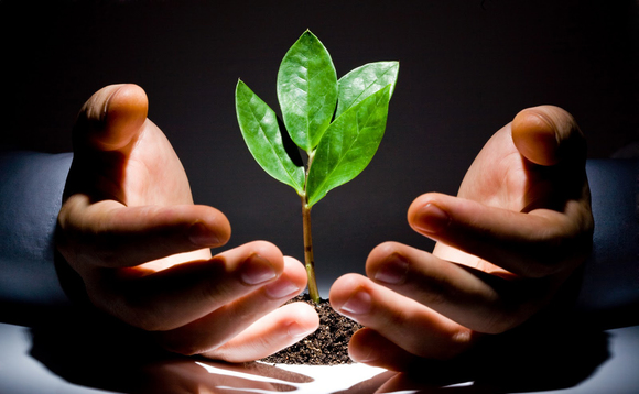 venture-capital-growth-plant-hands venture-capital-growth-plant-hands