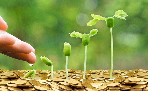 money-plant-flower-responsible-esg money-plant-flower-responsible-esg