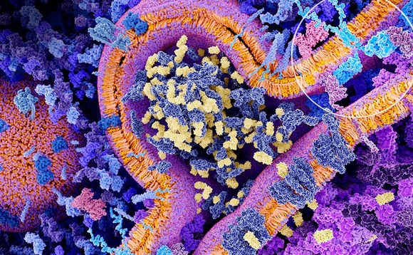 car-t-cell car-t-cell