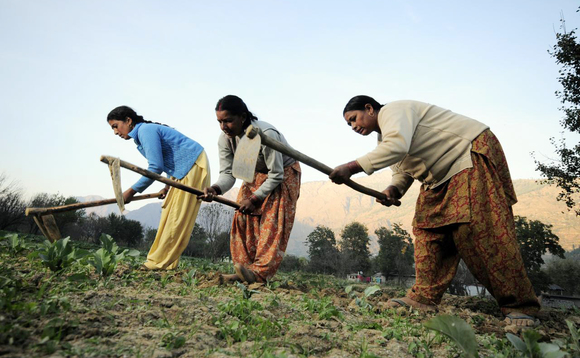 india-farmer-agriculture india-farmer-agriculture