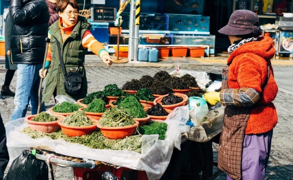 korea-food-market-stall-vegetables korea-food-market-stall-vegetables
