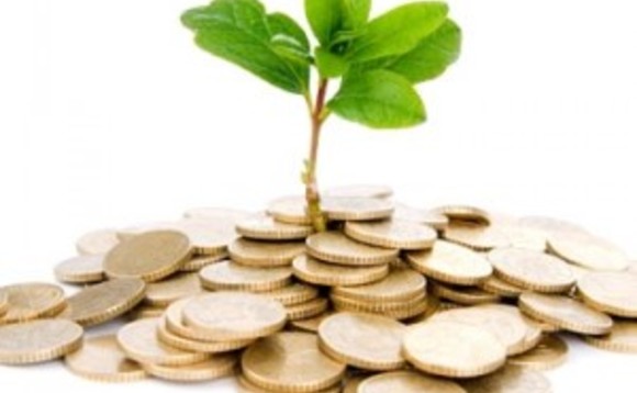 venture-capital-tree venture-capital-tree