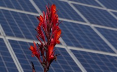 solar-cells-plant-red
