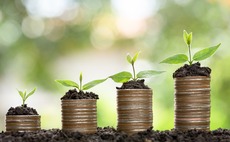 seed-funding-venture-money-plant