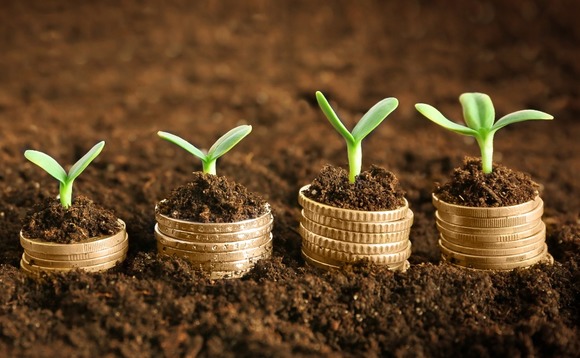 seed-funding-venture-money-plant-02 seed-funding-venture-money-plant-02