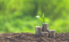 seed-funding-venture-money-plant-03 seed-funding-venture-money-plant-03