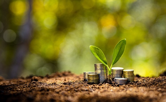 seed-funding-venture-money-plant-04 seed-funding-venture-money-plant-04