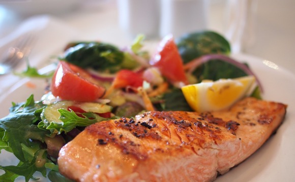 meal-fish-food meal-fish-food