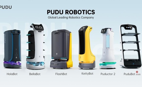pudu pudu
