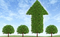 growth-capital-tree-plant