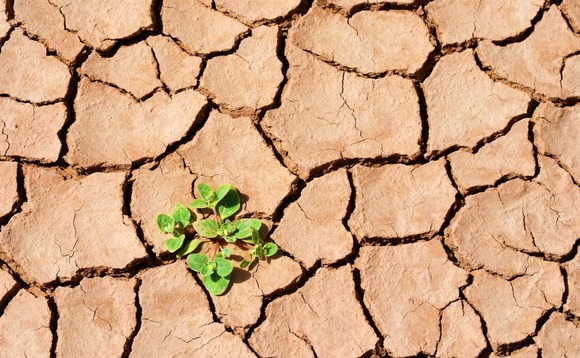 drought-plant-funding-water-thirst drought-plant-funding-water-thirst