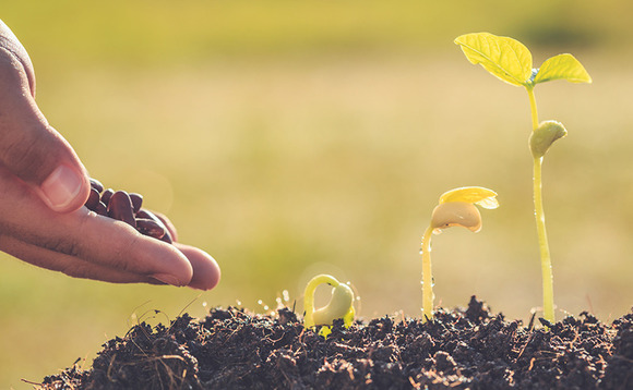 hand-plants-growing