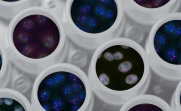 healthcare-lab-pharma-drug-biotech-2 healthcare-lab-pharma-drug-biotech-2