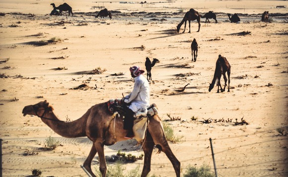 saudi-arabia saudi-arabia