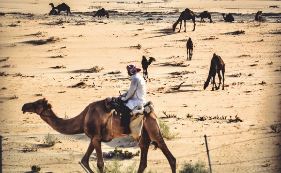 saudi-arabia