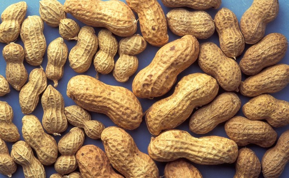 peanuts-nuts-snack peanuts-nuts-snack