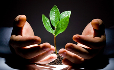 venture-capital-growth-plant-hands