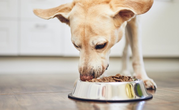pet-food-dog pet-food-dog