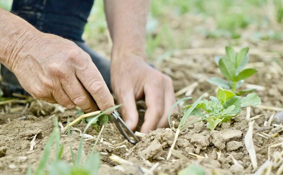 soil-carbon-farmer soil-carbon-farmer