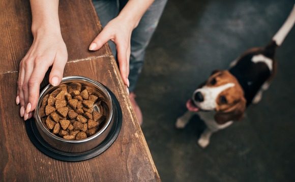 pet-food-dog-01 pet-food-dog-01