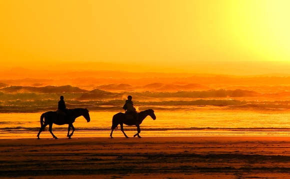sunset-horses sunset-horses
