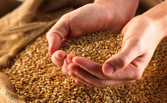 agriculture-crops agriculture-crops