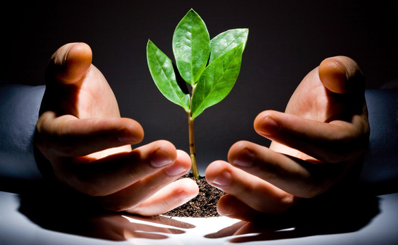 venture-capital-growth venture-capital-growth