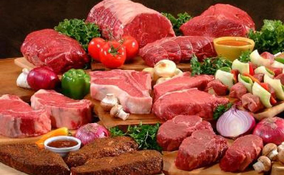focus-protein focus-protein