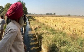 india-farming-farmer india-farming-farmer