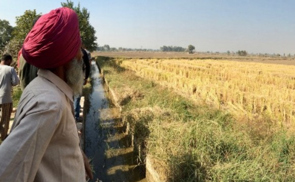 india-farming-farmer