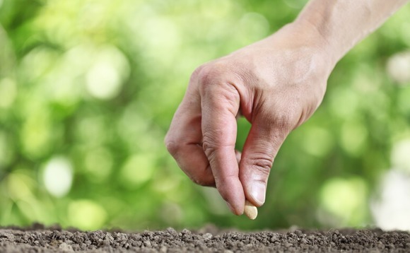 seeds-agriculture-plant seeds-agriculture-plant