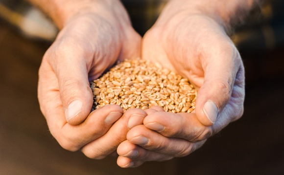 seeds-agriculture seeds-agriculture